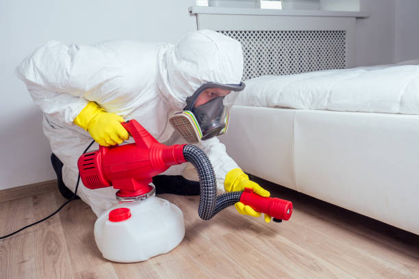 Best Wasp Removal Services  in Ucon, ID